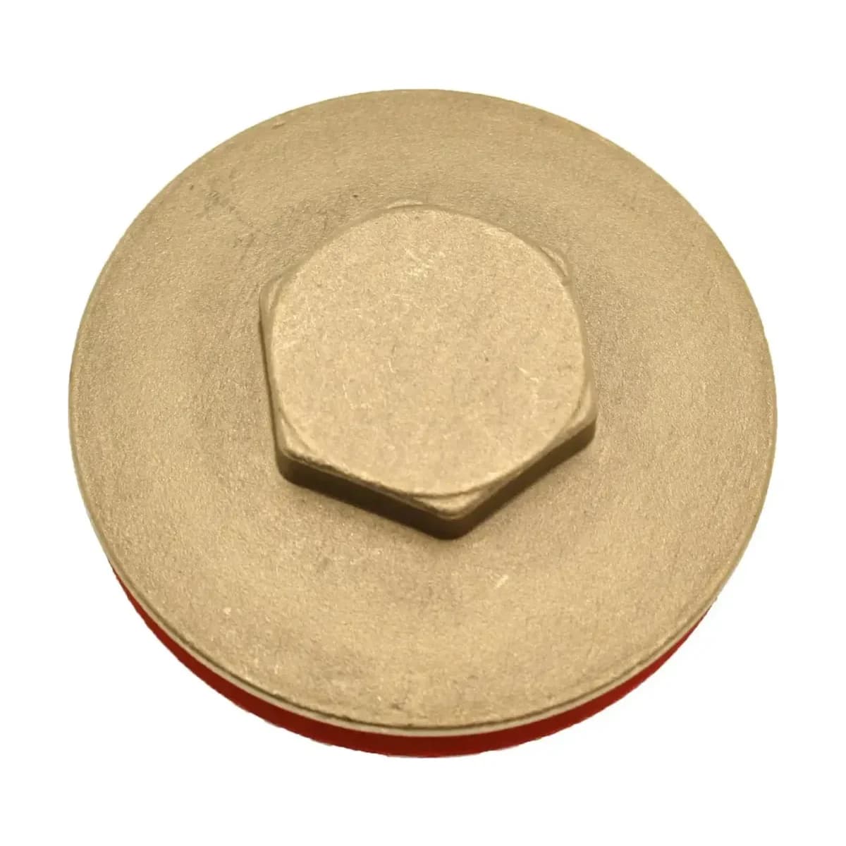 2 1/4" Immersion Heater Plug