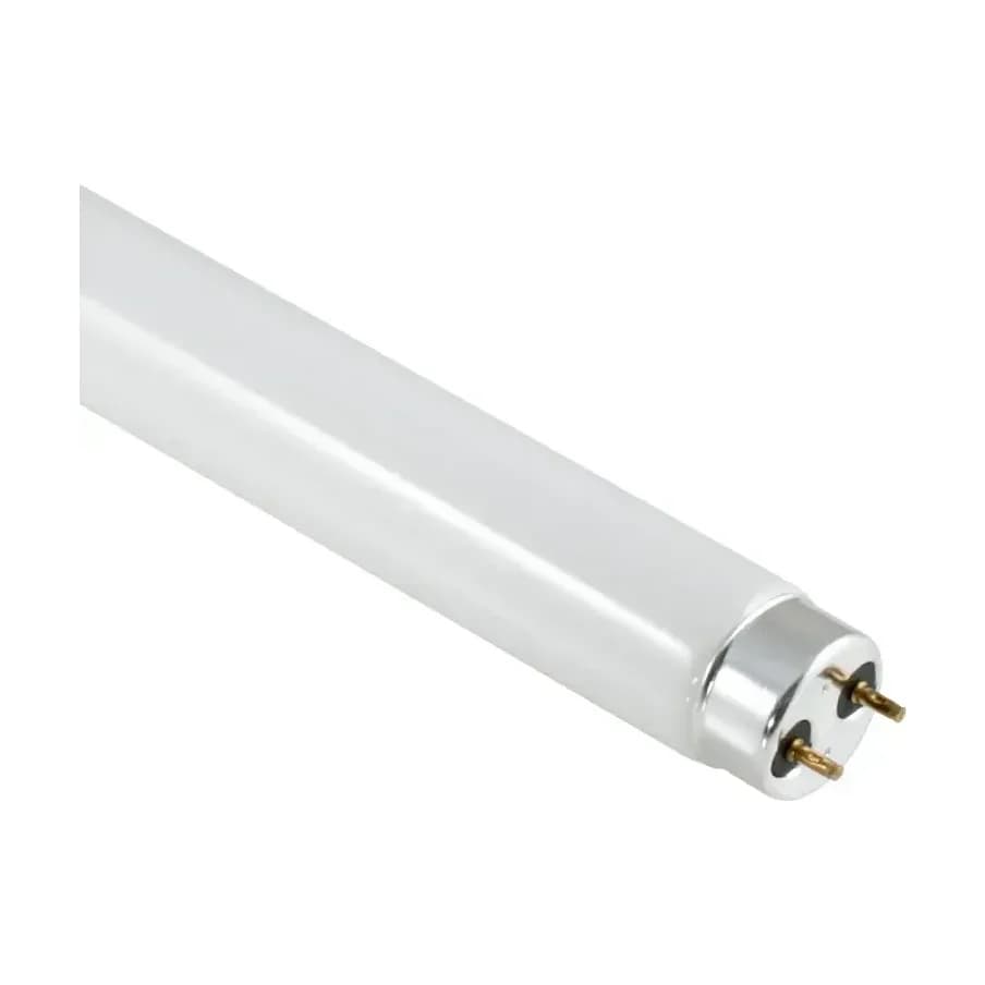 5Ft 58W T8 Spectra Plus Daylight 6400K