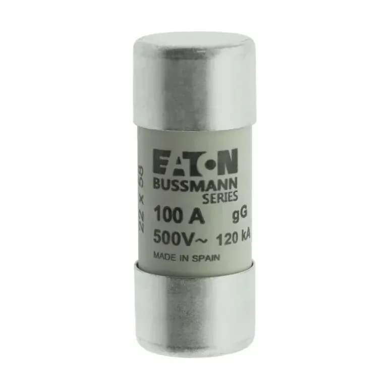 100A Large Cartidge Fuse