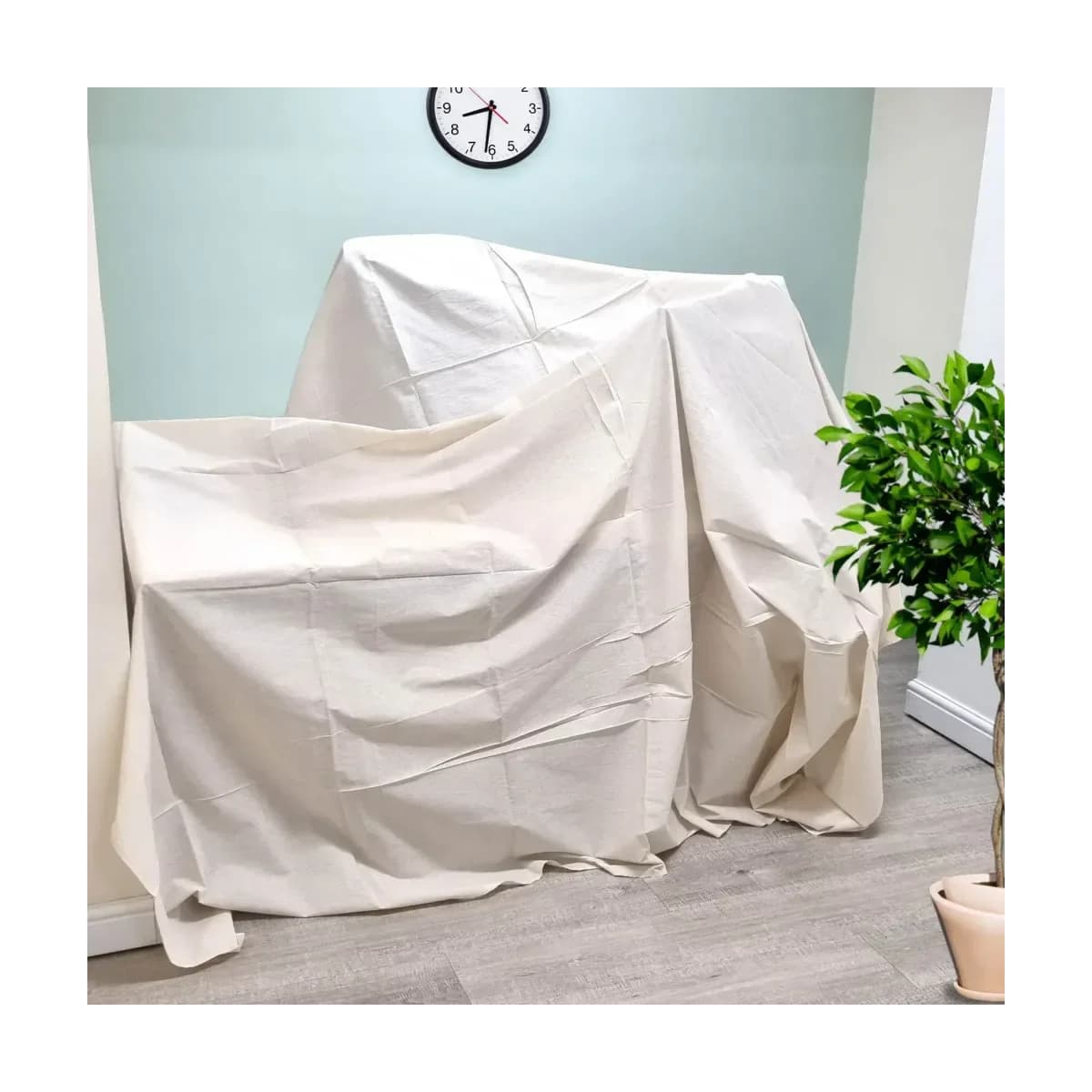 Dust Sheet