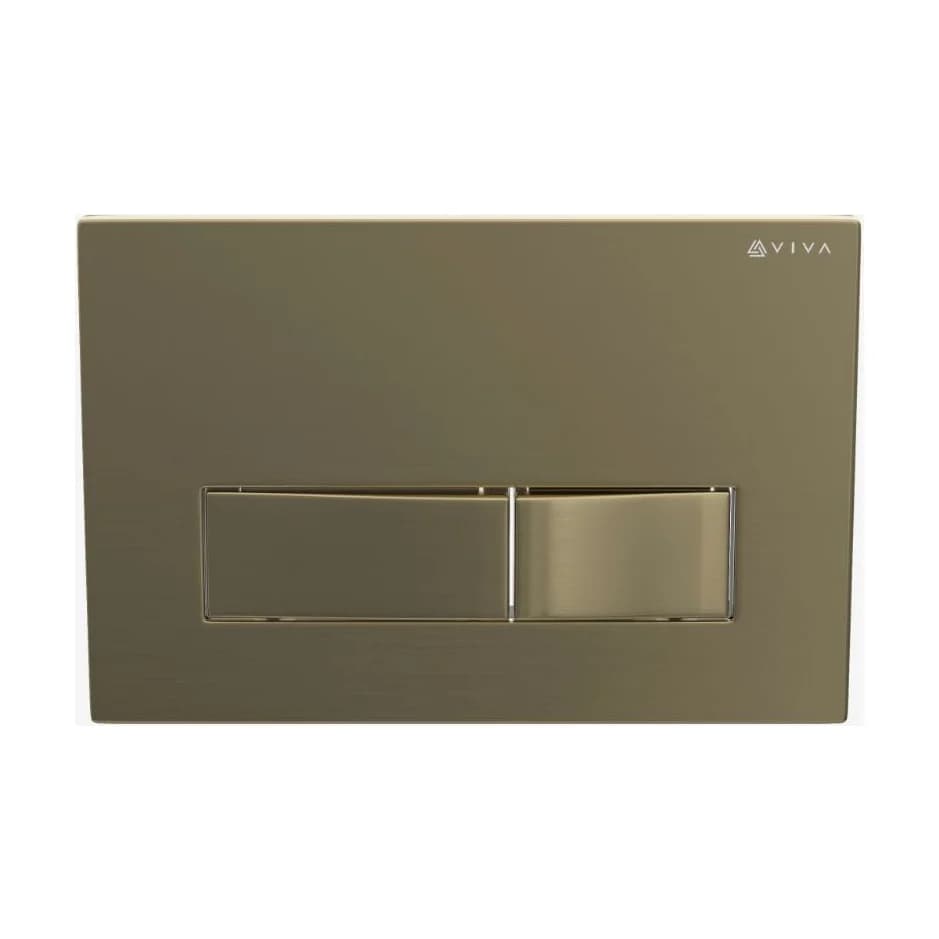 Brushed Brass Dual Flush Plate